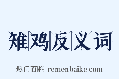 雉鸡反义词是什么意思的图片